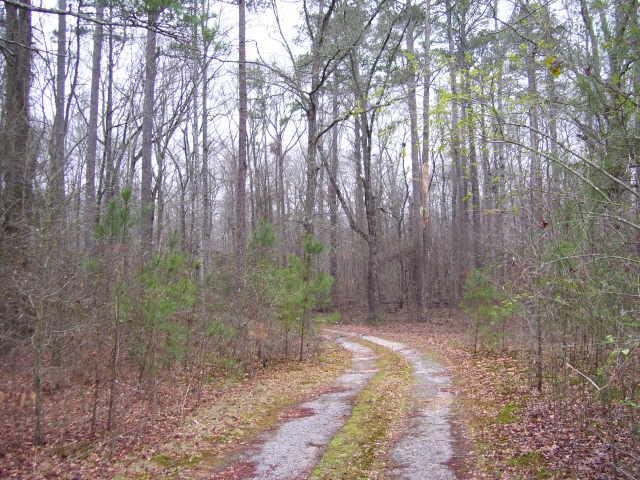3319 Paddock Rd, Covington, GA 30014 photo 10