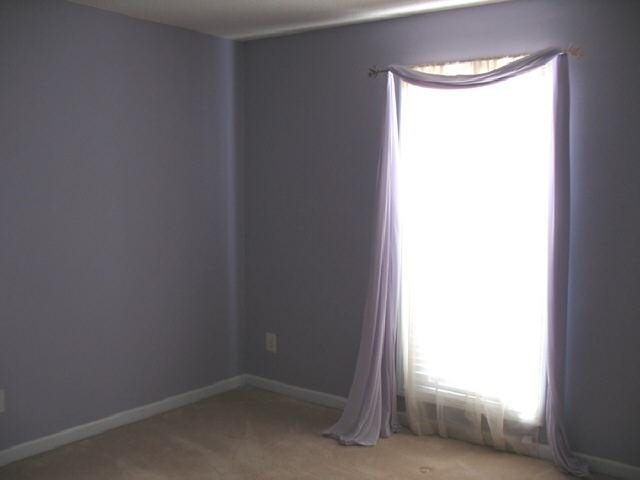 181 Rivermist Ct, Bethlehem, GA 30620 photo 11