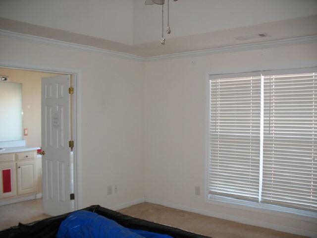 181 Rivermist Ct, Bethlehem, GA 30620 photo 9
