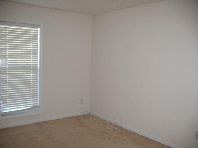 181 Rivermist Ct, Bethlehem, GA 30620 photo 14