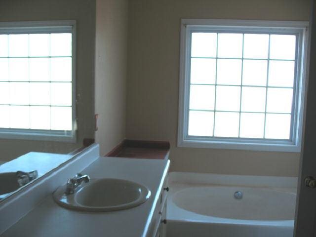 181 Rivermist Ct, Bethlehem, GA 30620 photo 10