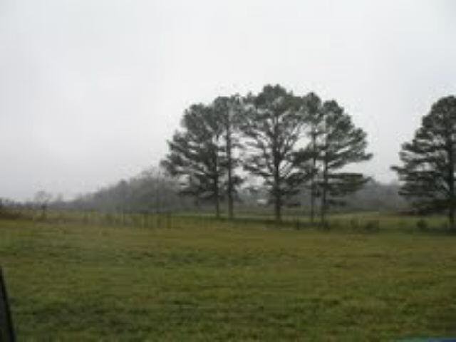 1385 Five Points Rd, Waco, GA 30182 photo 6