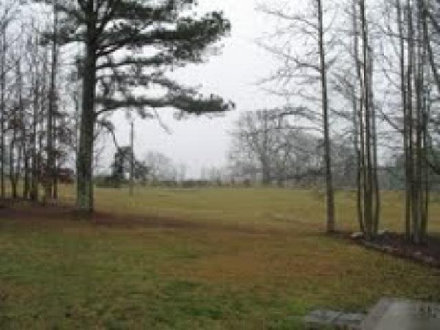 1385 Five Points Rd, Waco, GA 30182 photo 9