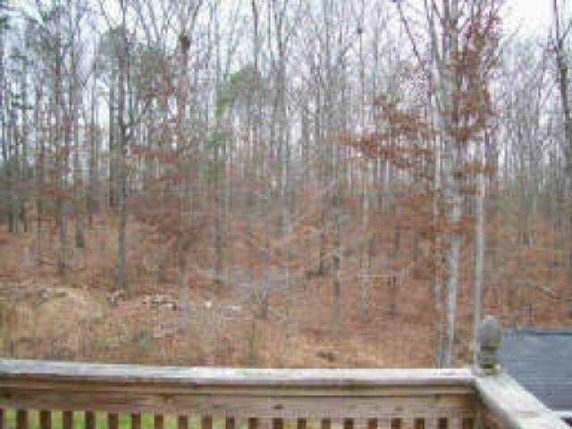 22 Deer Run Dr, White, GA 30184 photo 15
