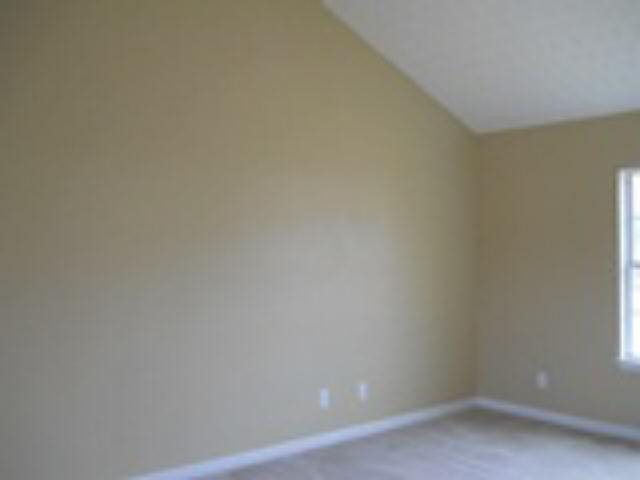 478 Limerick Way, Hampton, GA 30228 photo 9