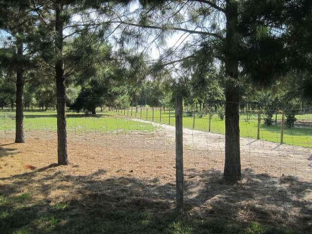1886 Bee Tree Rd, Perkins, GA 30822 photo 13