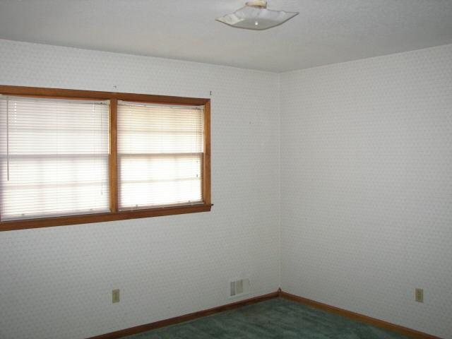 375 Coan Dr, Mcdonough, GA 30252 photo 12