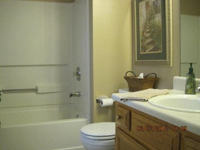 438 Old Ivy Path Way, Mcdonough, GA 30253 photo 9