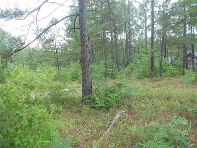 187 Terrell Rd, Elko, GA 31025 photo 10