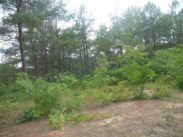 187 Terrell Rd, Elko, GA 31025 photo 6