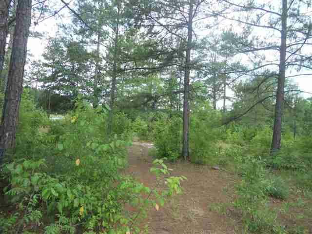 187 Terrell Rd, Elko, GA 31025 photo 7