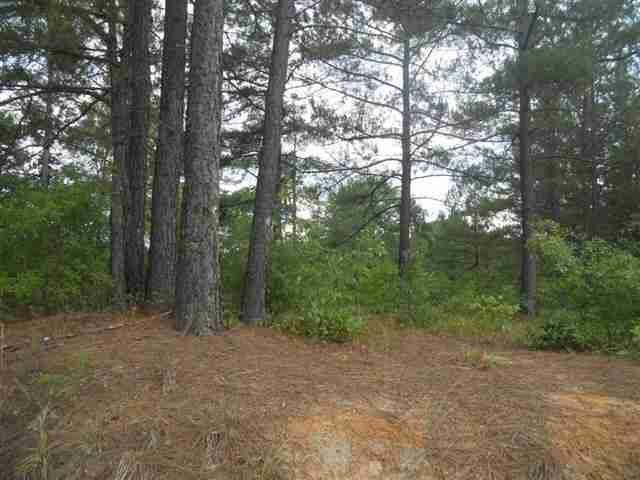 187 Terrell Rd, Elko, GA 31025 photo 1