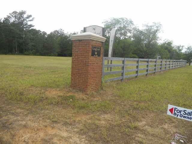 187 Terrell Rd, Elko, GA 31025 photo 5