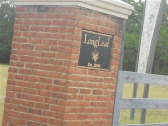 187 Terrell Rd, Elko, GA 31025 photo 3