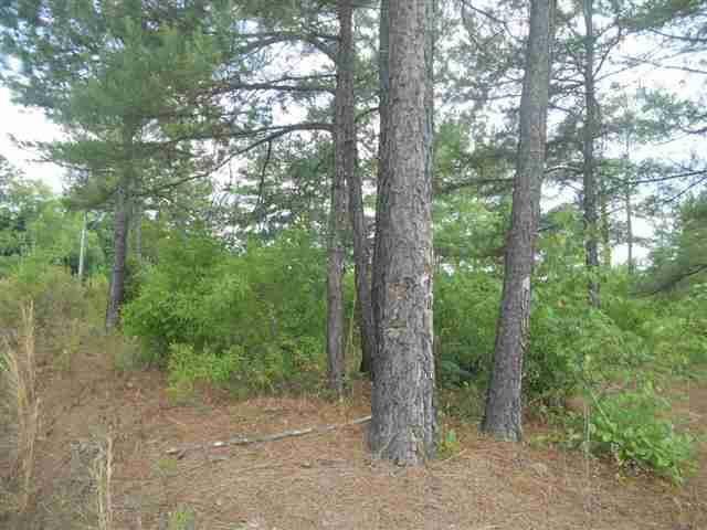 187 Terrell Rd, Elko, GA 31025 photo 9