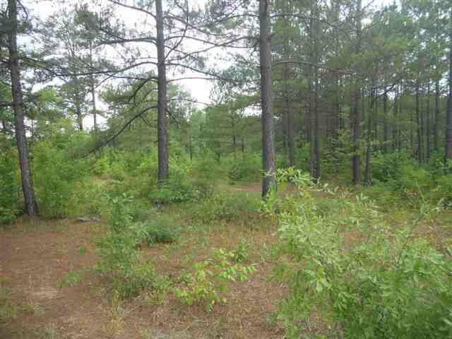 187 Terrell Rd, Elko, GA 31025 photo 8