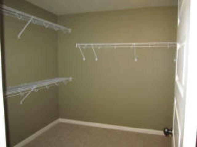 105 Belgian Ct, Hampton, GA 30228 photo 10
