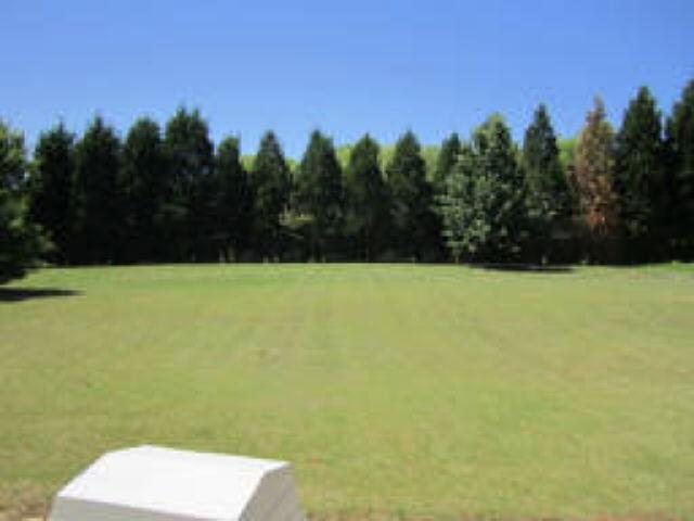 105 Belgian Ct, Hampton, GA 30228 photo 11