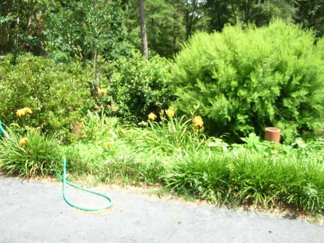 373 Cofield Rd, Lagrange, GA 30240 photo 12