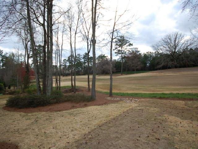 2736 Eudora Trl, Duluth, GA 30097 photo 15
