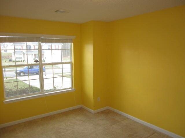 106 Madisyn Dr, Hampton, GA 30228 photo 16