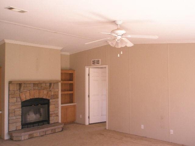 786 Blackberry Rd, Baconton, GA 31716 photo 4