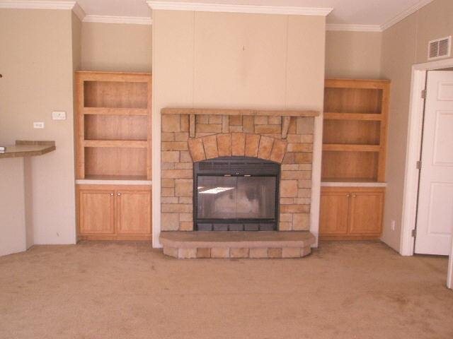 786 Blackberry Rd, Baconton, GA 31716 photo 5
