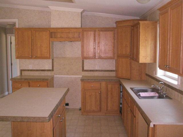 786 Blackberry Rd, Baconton, GA 31716 photo 8