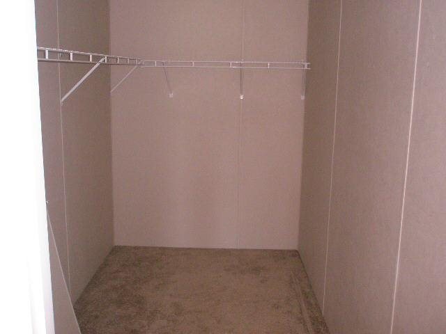 786 Blackberry Rd, Baconton, GA 31716 photo 13