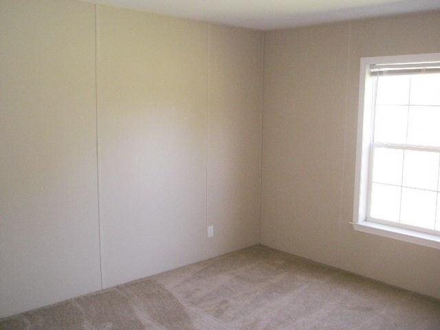 786 Blackberry Rd, Baconton, GA 31716 photo 10