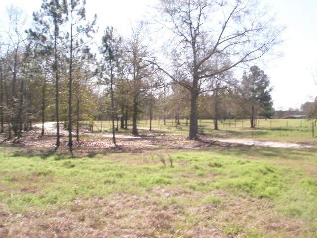786 Blackberry Rd, Baconton, GA 31716 photo 3