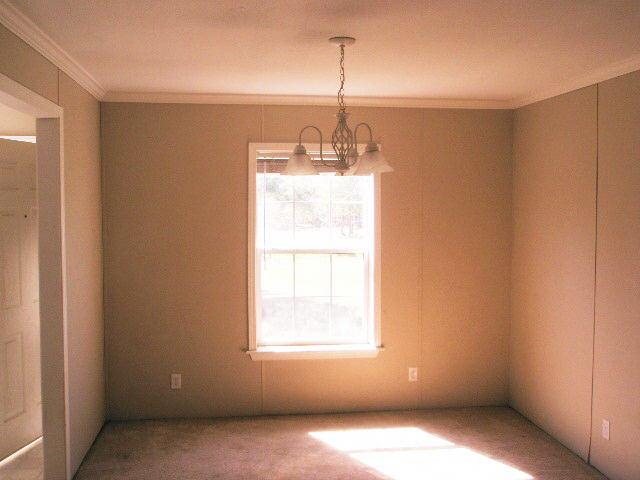 786 Blackberry Rd, Baconton, GA 31716 photo 11