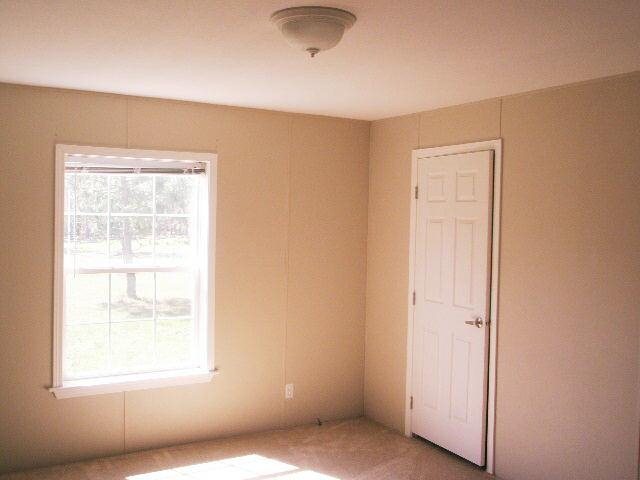 786 Blackberry Rd, Baconton, GA 31716 photo 9