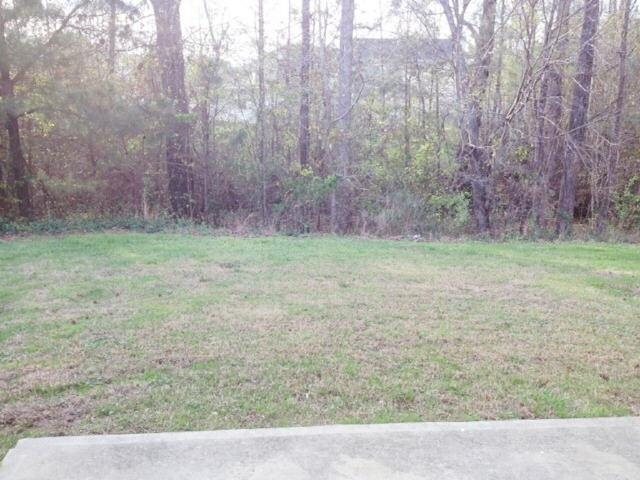 10675 Starling Trl, Hampton, GA 30228 photo 14