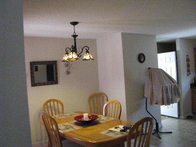255 Galway Ln, Hampton, GA 30228 photo 3