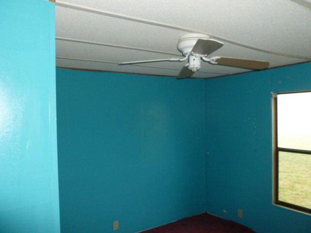 910 Steele Rd, Griffin, GA 30223 photo 5