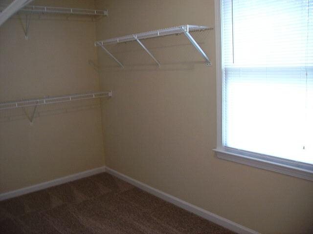 195 Lake Hampton Dr, Hampton, GA 30228 photo 10