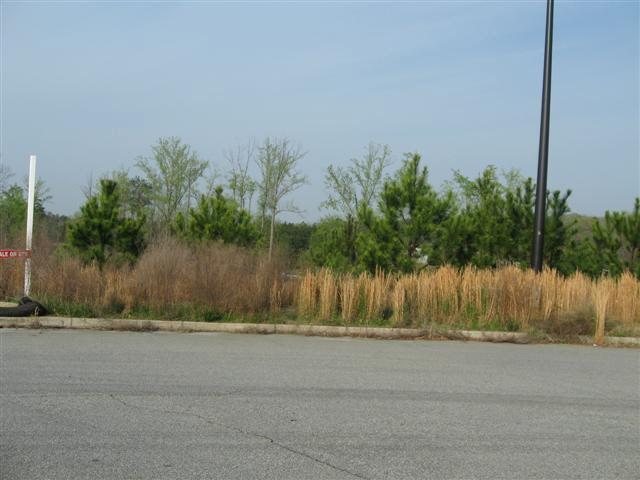 415 Brogdon Rd, Sugar Hill, GA 30518 photo 14