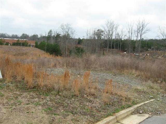 415 Brogdon Rd, Sugar Hill, GA 30518 photo 3