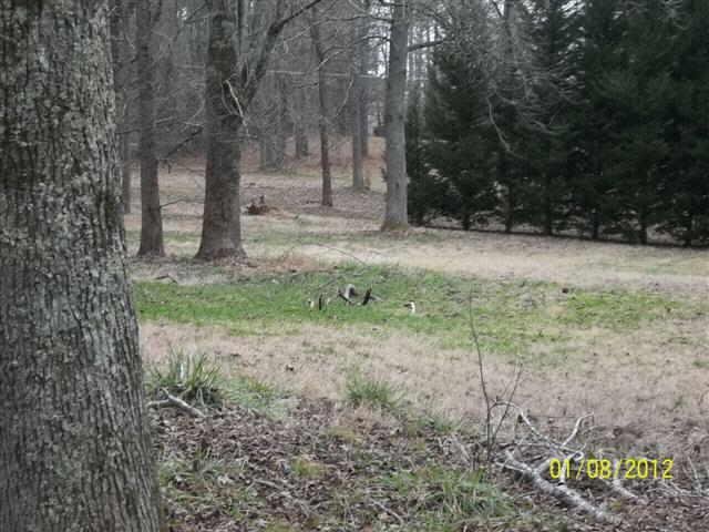 13067 Ellison Rd, Hampton, GA 30228 photo 15