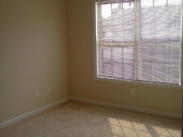 11477 Vinea Ln, Hampton, GA 30228 photo 11