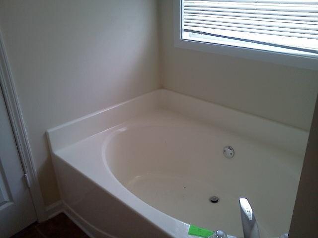 11477 Vinea Ln, Hampton, GA 30228 photo 9