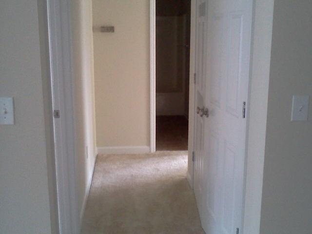 11477 Vinea Ln, Hampton, GA 30228 photo 12