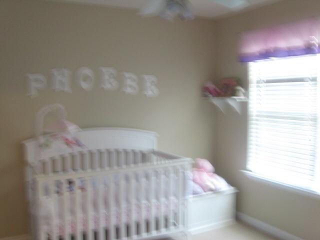 157 Dodgen Place Dr, Hampton, GA 30228 photo 10