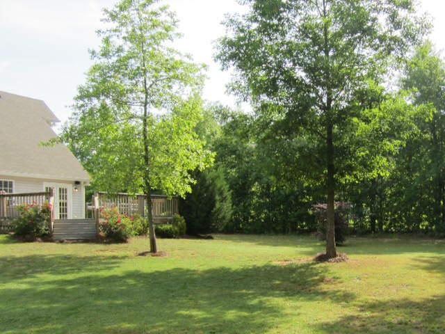 157 Dodgen Place Dr, Hampton, GA 30228 photo 14