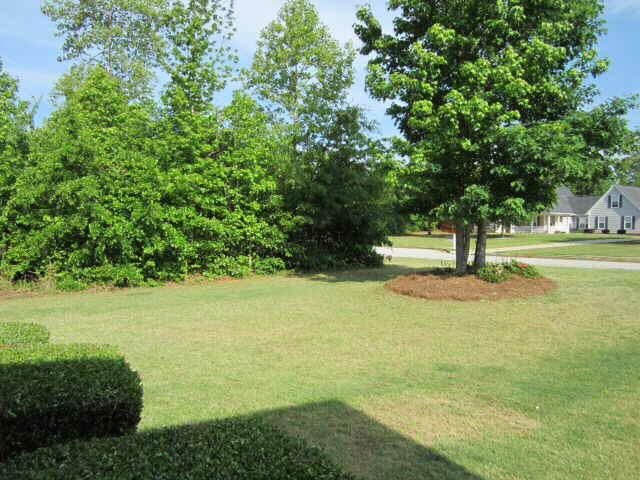 157 Dodgen Place Dr, Hampton, GA 30228 photo 12