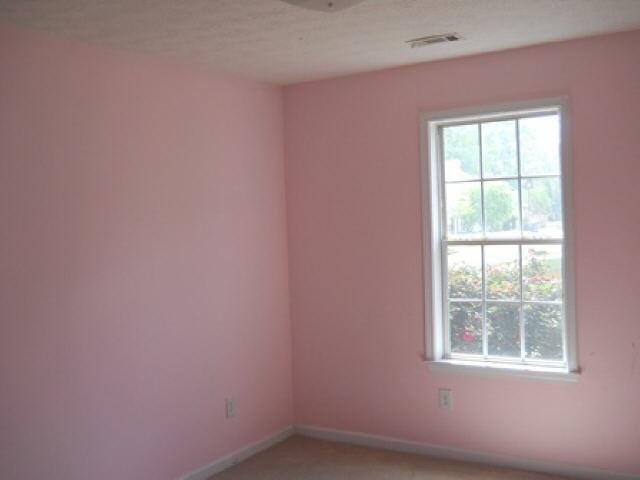 1802 Ulmus Ct, Hampton, GA 30228 photo 5