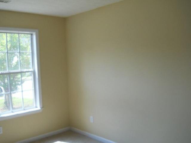 1802 Ulmus Ct, Hampton, GA 30228 photo 8