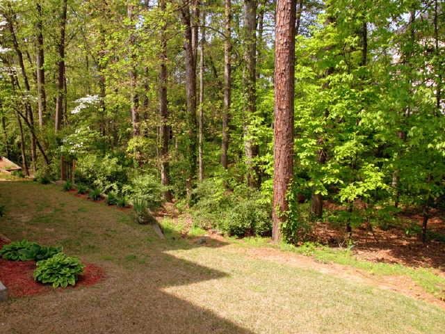 7515 Brookstead Xing, Duluth, GA 30097 photo 11
