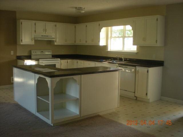 91 Summit Ln, Carnesville, GA 30521 photo 2